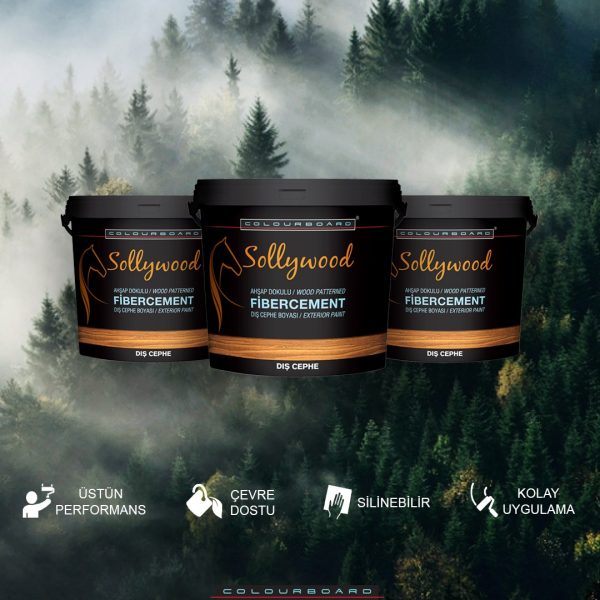 Sollywood Betopan Fibercement Dış Cephe Boyası 15 lt (K105) Açık Ceviz - Görsel 2